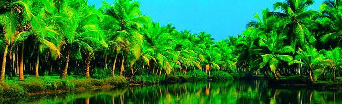 Chaandhni Lake View Hotel Alappuzha Exterior photo